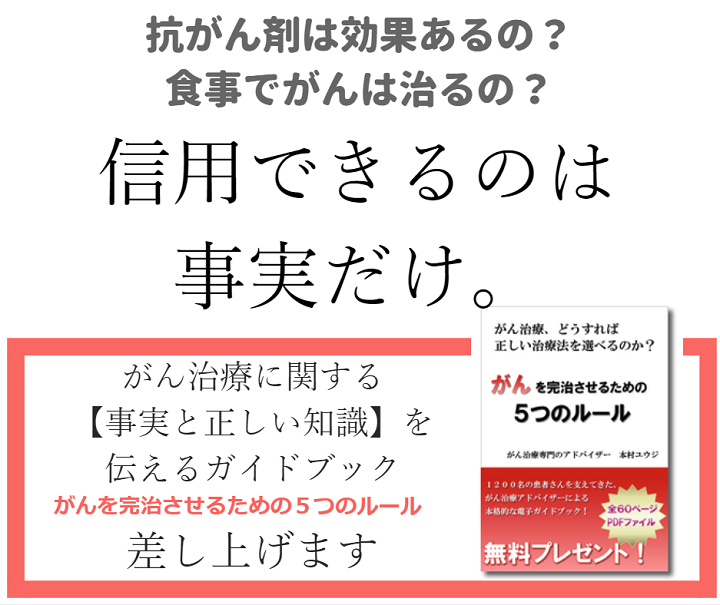記事下ガイドブックバナー