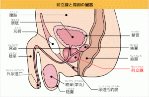 前立腺がんの手術方法