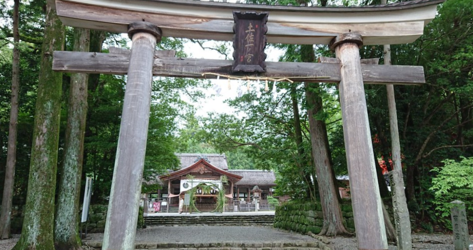 高知県で癌封じ・病気平癒の神社、お寺