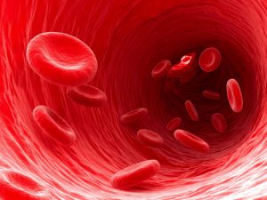 急性骨髄性白血病の抗がん剤治療や造血幹細胞移植