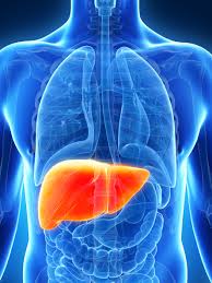 肝臓がんの再発率と転移しやすい部位