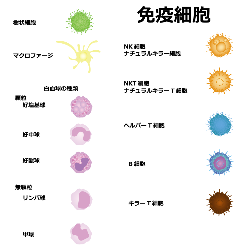 がん治療の効果測定基準「完全奏功(CR)、部分奏功(PR)、進行(PD)、安定(SD)」とは？